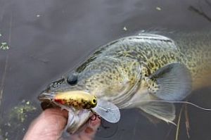 Haines Hunter MD John Haber displays a 760 prototype hull.